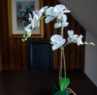 Courroux Apartment | Modern Apartment with Family-Friendly Amenities Awaits You