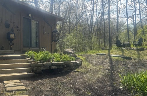 Ortonville Cabin | Modern Cabin in the Woods with WiFi, AC