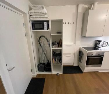 Midtbyen Apartment | Scenic Rooftop, Free Parking & Family-Friendly Amenities