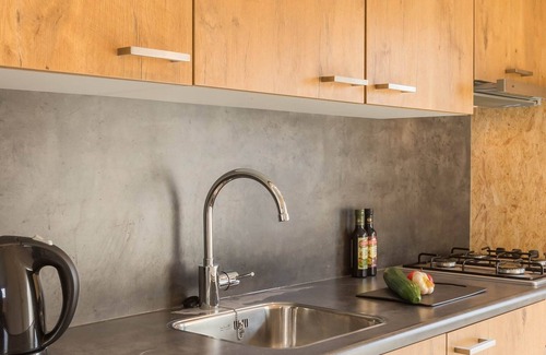 Borger Ski Chalet | Modern Chalet with Kitchen Near Hunebedcentrum Awaits