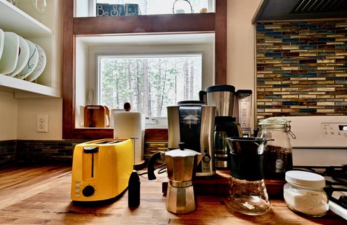 Mineral Cabin | Pet-Friendly Modern-Chic Cabin Near Lassen National Park