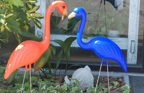 Gainesville House | Unforgettable Stays in a Vintage Home near U. F.