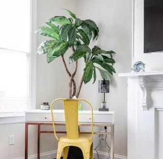 Church Hill Apartment | Modern, Convenient Gem: Urban Retreat 'n Richmond
