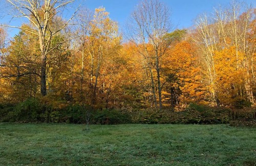 Shandaken House | Pet-Friendly Modern Cottage One in the Catskills - 10/10 Rating