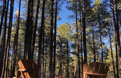 Heber Cabin | Top-Rated Forest Lakes Cabin with Pet-Friendly Amenities