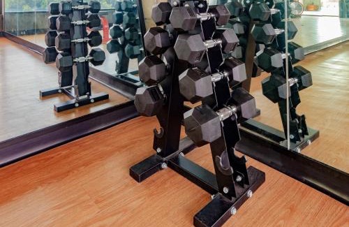 Downtown Guadalajara Apartment | Modern Design Loft w Gym Coworking 2 BD 102