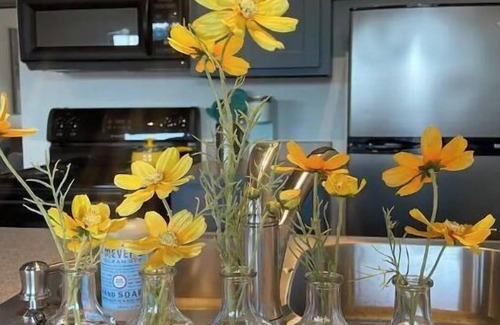 Tahlequah Apartment | Modern Downtown Studio: A Walker’s Paradise Awaits