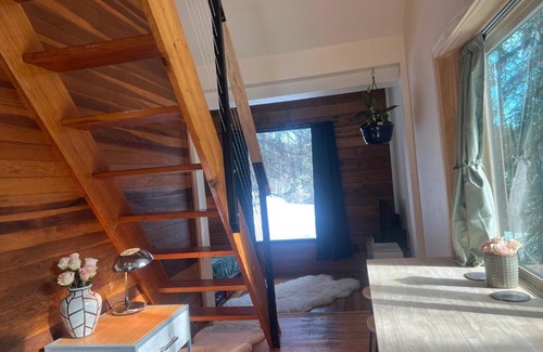 Ester House | Modern Loft Cabin in Historic Ester