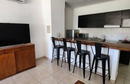 Godoy Cruz Apartment | Unique Loft Steps from Palmares Open Mall with Spa & Breakfast