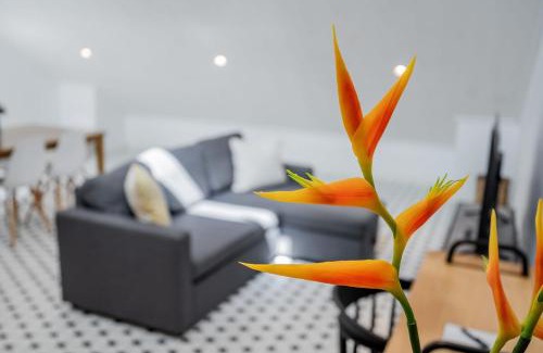 Las Cumbres Apartment | Modern Lofts in Plaza De La Independencia