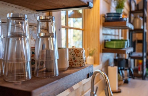 Ely Cabin | Pet-Friendly Modern Log Cabin with Lake View in Ely