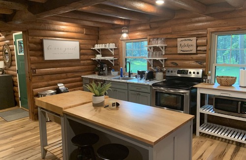 Delavan Lake Cabin | Cozy Log Cabin Retreat with Gas Fireplaces & Scenic Location