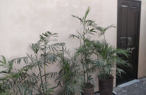 Amritsar House | Convenient Family Rooms Steps from the Golden Temple