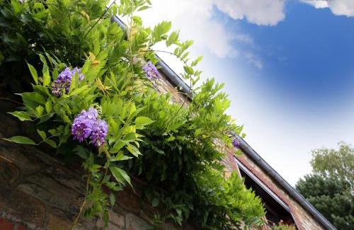 Mettet House | Relaxing Holiday Home in Mettet with Pet-Friendly Garden