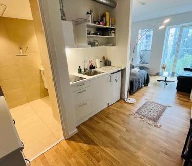 Amager Apartment | Modern Studio Apt