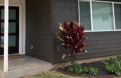 Kaneohe Apartment | Guest Rated 10/10: Modern Studio at Ko'olau Mountain