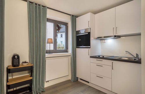Wangen im Allgaeu Apartment | Modern 1-Room Apartment with Wi-Fi in City Center