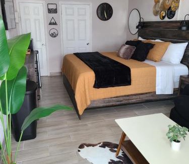 Bryant Apartment | Cozy Modern Studio with King Bed - Pet Friendly Retreat