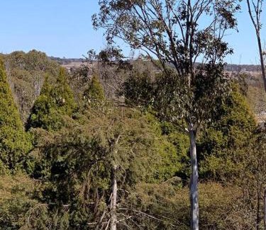 Guyra Apartment | Elevated Studio Experience with Fabulous Views & Family Friendly