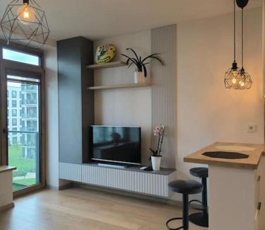 Vilnius Apartment | Modern Urban Retreat & Private Parking