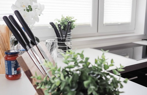 Großraschen House | Modern Lake View Apartment with Terrace and Spa Amenities