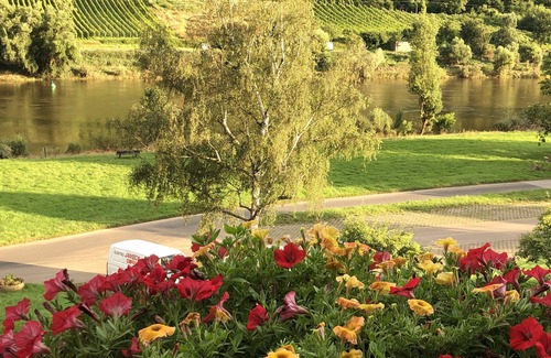 Valwig Apartment | Modern Apartment with Direct Moselle View & Spa Amenities