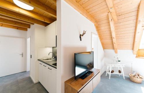 Simonswald Apartment | Stylish BlackForest Art Apartment Near Freiburg, Rated 9.7/10