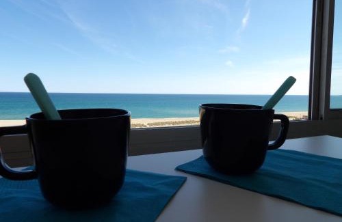 Saint-Cyprien Plage Apartment | Bright Oceanfront Apartment with Stunning Sea Views