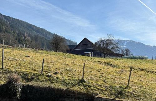 Millstatt Apartment | Modern Apartment 1km from Millstätter See - Family Friendly