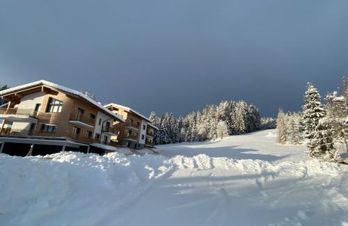 Ramsau am Dachstein Apartment | Exceptional Stay at Moderne Kaminstube - Rated 9.8/10