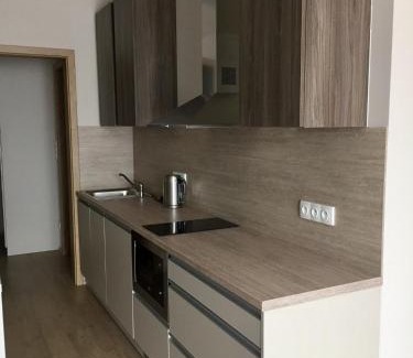 Dolni Morava Apartment | Welcoming Modrý Apartmán: Family-Friendly & Pet Friendly
