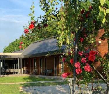 Mohacs House | Experience Mohácsi Wellness Vendégház: Rated 10/10 Stay