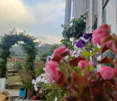 Sukha House | Cozy Mohraj Home Stay: Pet-Friendly with Breakfast Options