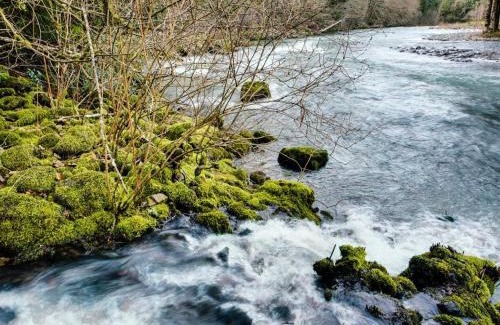 Molalla House | Cozy Molalla River Cottage - Family-Friendly Retreat