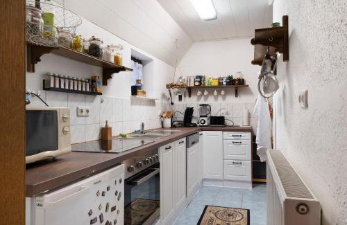 Elmlohe Apartment | Cozy Mole Valley Ranch Fewo2: Pet-Friendly Retreat Awaits