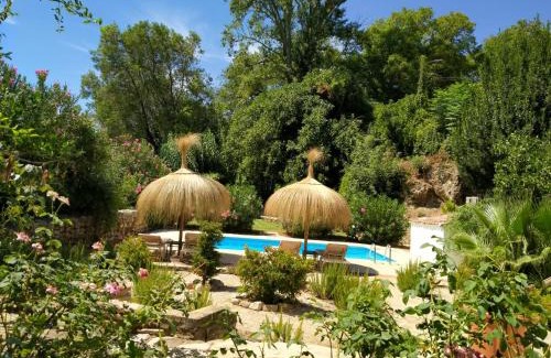 Benaojan House | Experience Molino del Caracol: Pet-Friendly Oceanfront Retreat