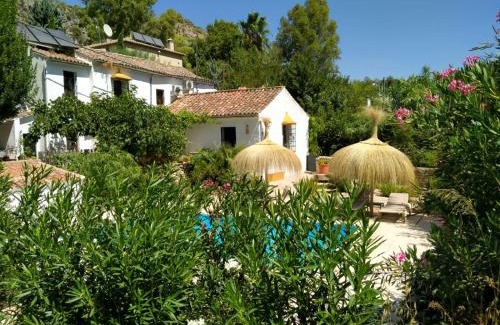 Benaojan House | Experience Molino del Caracol: Pet-Friendly Oceanfront Retreat