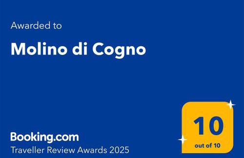 Castellina in Chianti Apartment | Discover Molino di Cogno: 10/10 Guest Rated & Family-Friendly