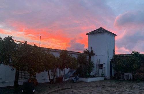 Montoro House | Discover Molino La Nava: Pet-Friendly Oceanfront Retreat