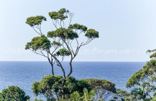 Mollymook Hotel | Discover Mollymook Motel: Ocean View & 9/10 Guest Rated