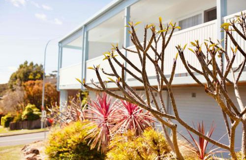 Mollymook Hotel | Discover Mollymook Motel: Ocean View & 9/10 Guest Rated