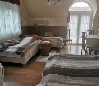Sarvar Apartment | Cozy Molnár Apartment: Pet-Friendly Retreat with Kitchen