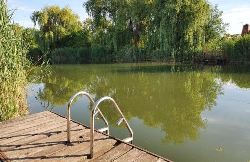 Hajduszoboszlo House | Pet-Friendly Retreat at Molnar Vendeghaz - 4-Star Comfort