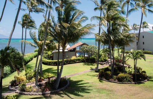 Ualapue Apartment | Oceanfront Molokai Island Retreat with Pool & 9.5 Rating