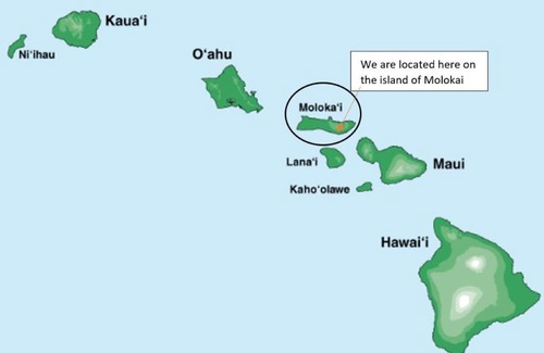 Ualapue Apartment | Oceanfront Molokai Island Retreat with Pool & 9.5 Rating