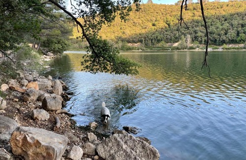 Carces Other | Serene Getaway: Mon havre avec vue sur le lac & Pool Access