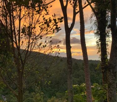 Sukasada House | Discover Mona's Tiny Djungle House: A Family-Friendly Retreat