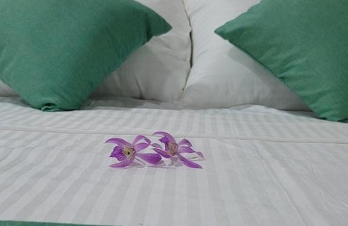 Imaduwa House | Comfortable Monara House: Pet and Child Friendly Stay