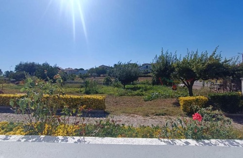 Penacova House | Budget-Friendly Mondalva Apartamentos: Pet Friendly & Accessible