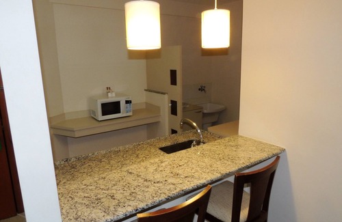 Sao Jose dos Campos Hotel | Mondrian Suite Hotel: Family-Friendly with Pool & Spa